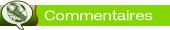 commentaires recettes